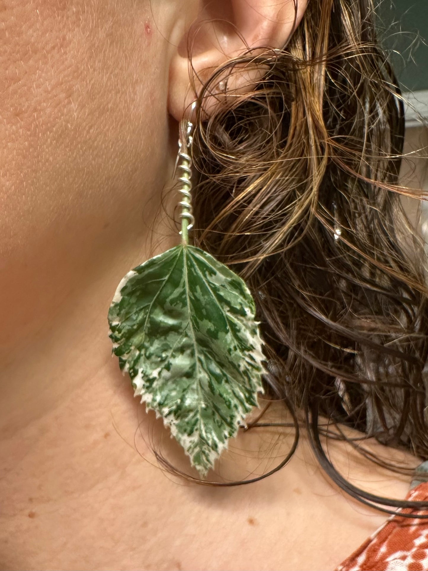 Silver plant-hugger earrings (leaf not included)