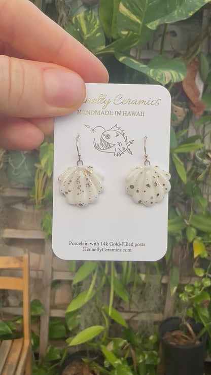 Small white sunrise shell earrings