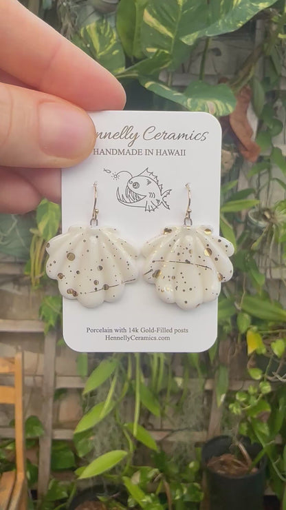 White sunrise shell earrings with gold